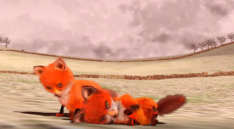 simplicity3d studios fox cubs